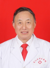 皮敦里
