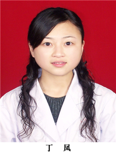 丁凤