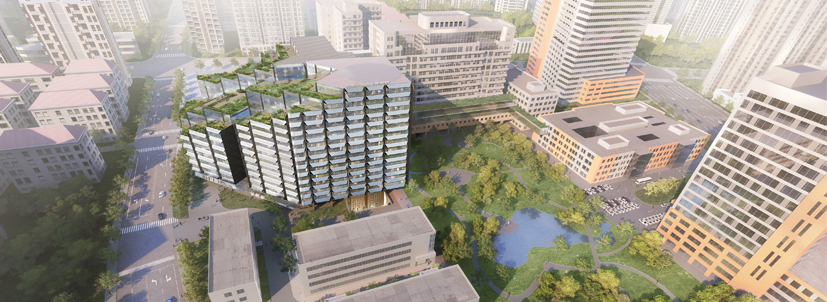 上海市第六人民医院（三级甲等）