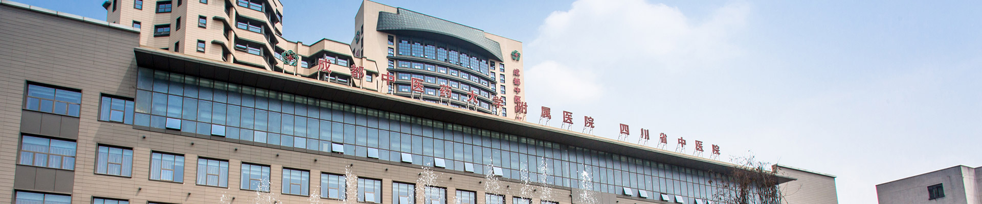 成都中医药大学附属医院（三级甲等）