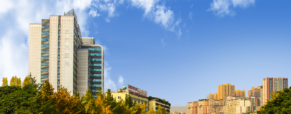 西南医科大学附属成都三六三医院（三级甲等）