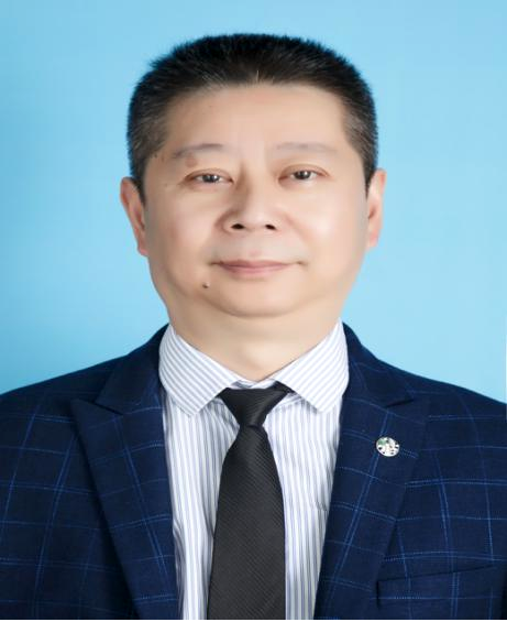 何嘉宾主任医师