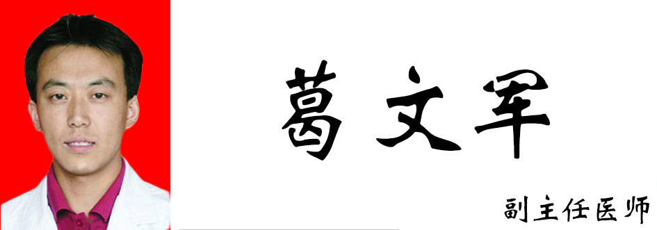葛文军