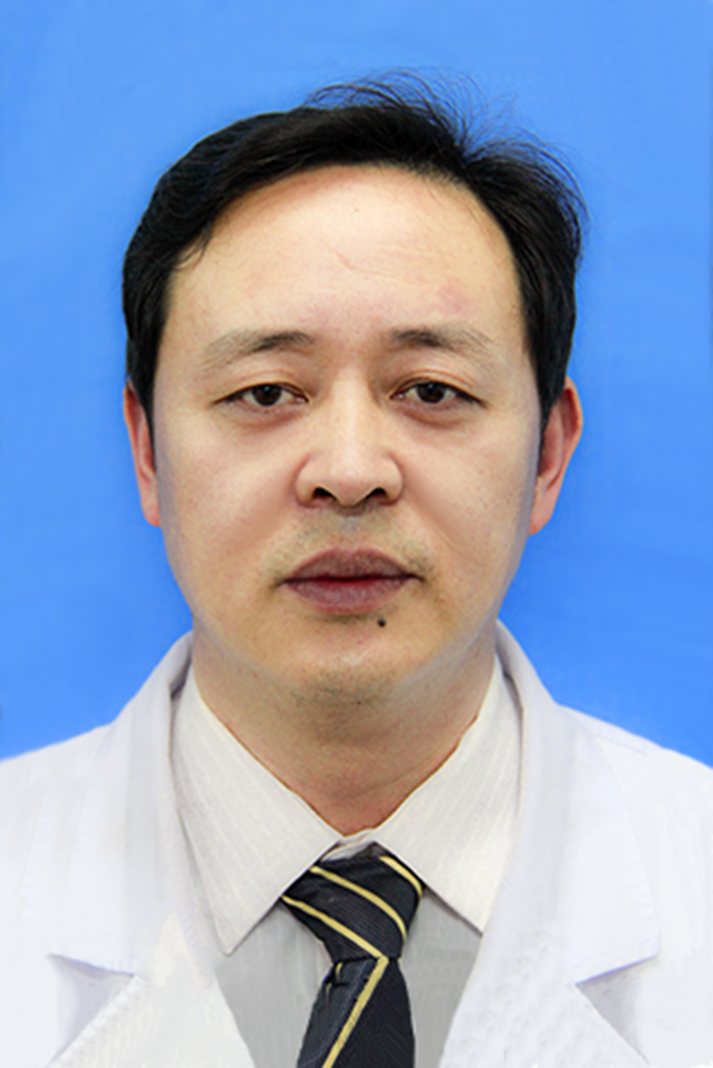 陈新权